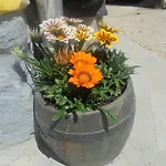 Bauernhof Pri Miklavu