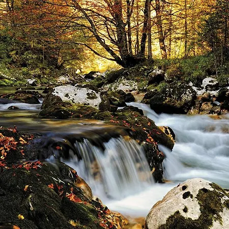 Farm stay Pri Miklavu