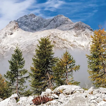 Alloggio per agriturismo Pri Miklavu *