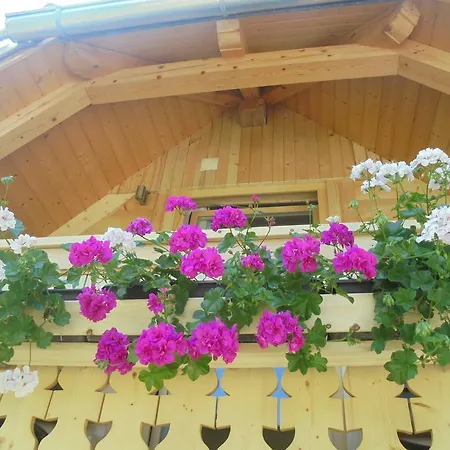 Pri Miklavu * Bohinj