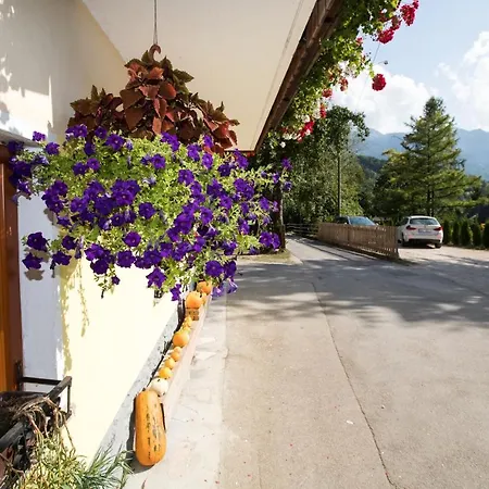 Farm stay Pri Miklavu Bohinj