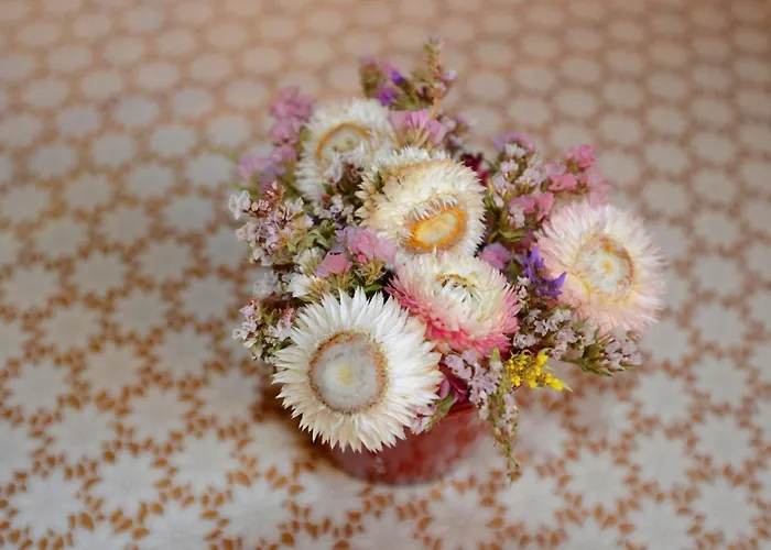 Pri Miklavu 农家乐 *