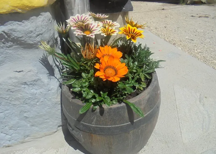 农家乐 Pri Miklavu